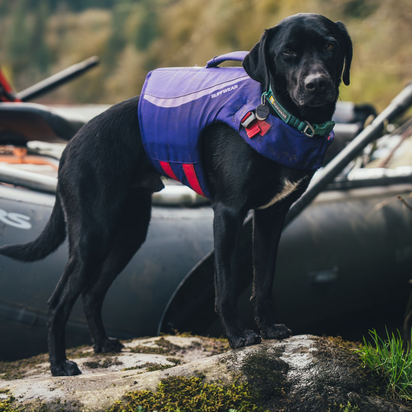 froatcort Life Jacket フロートコートライフジャケット　パープルリリィ