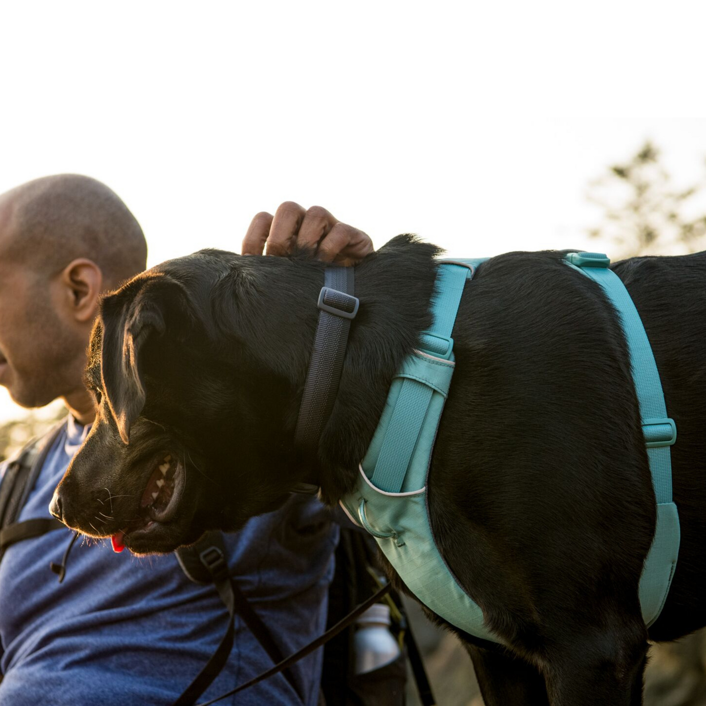 RUFFWEAR　フロントレンジカラー　レッドキャニオン