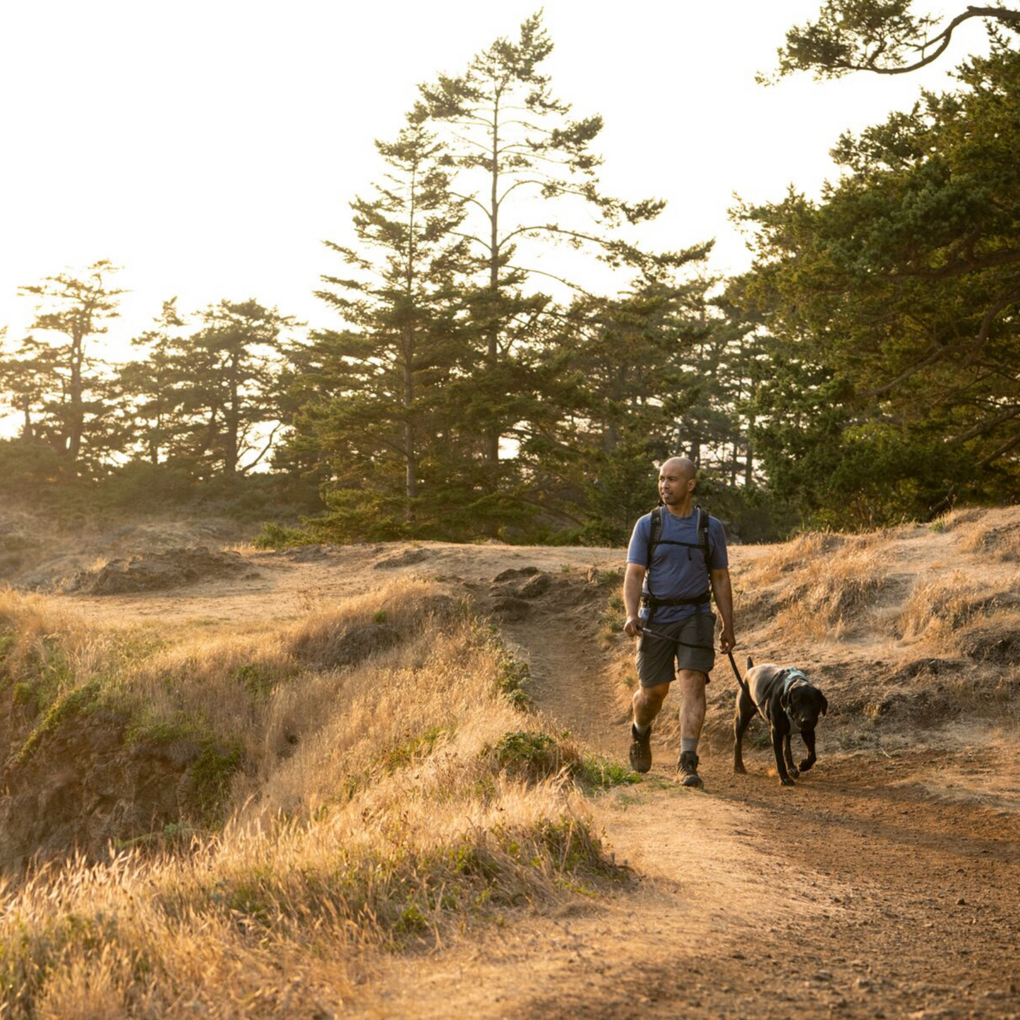 RUFFWEAR　フロントレンジリーシュ　バサルトグレイ