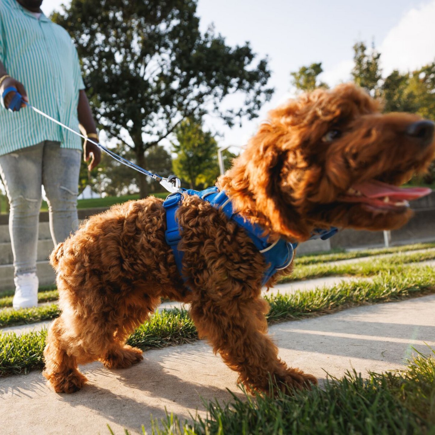 RUFFWEAR　フロントレンジリーシュ　リバーロックグリーン