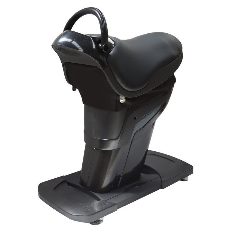 110V Little Black Horse Riding Machine