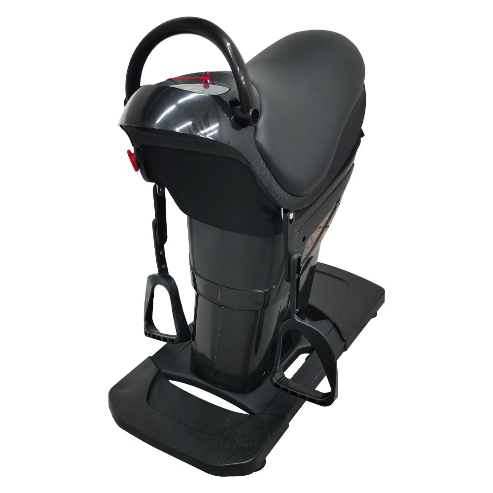 110V Little Black Horse Riding Machine
