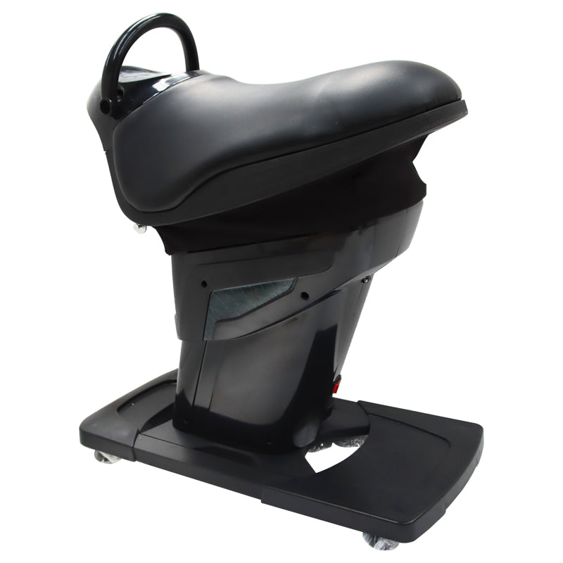 110V Little Black Horse Riding Machine