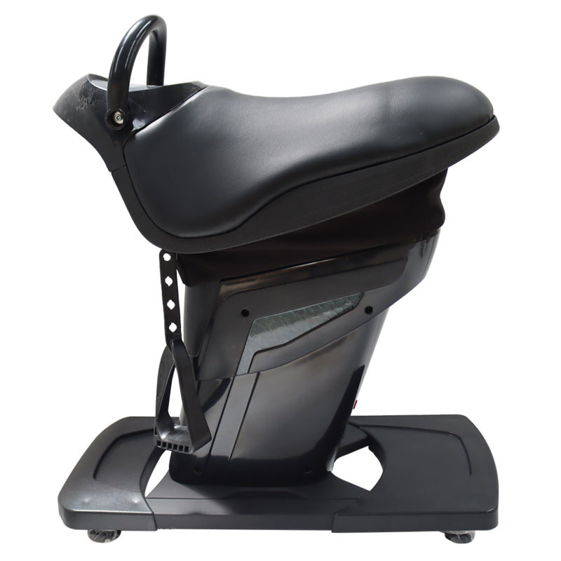 110V Little Black Horse Riding Machine