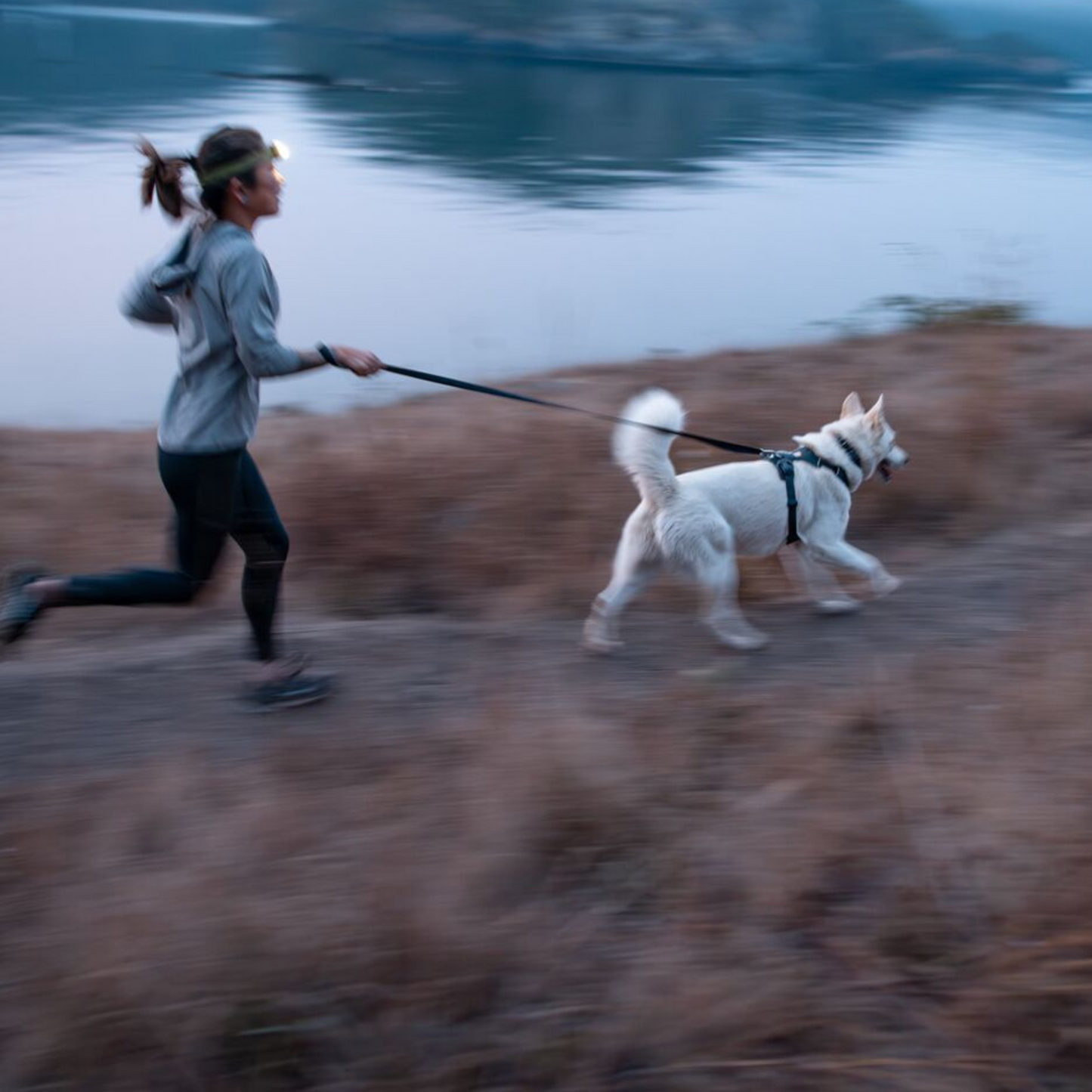 RUFFWEAR　フロントレンジリーシュ　レッドキャニオン