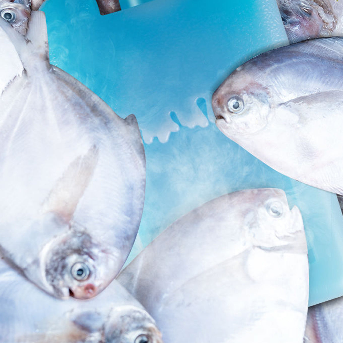 6Pack Reusable Cooler Ice Packs-DXN4