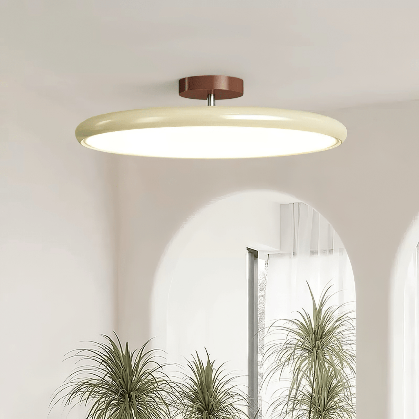 Adjustable Disc Ceiling Light With Low Profile Mount