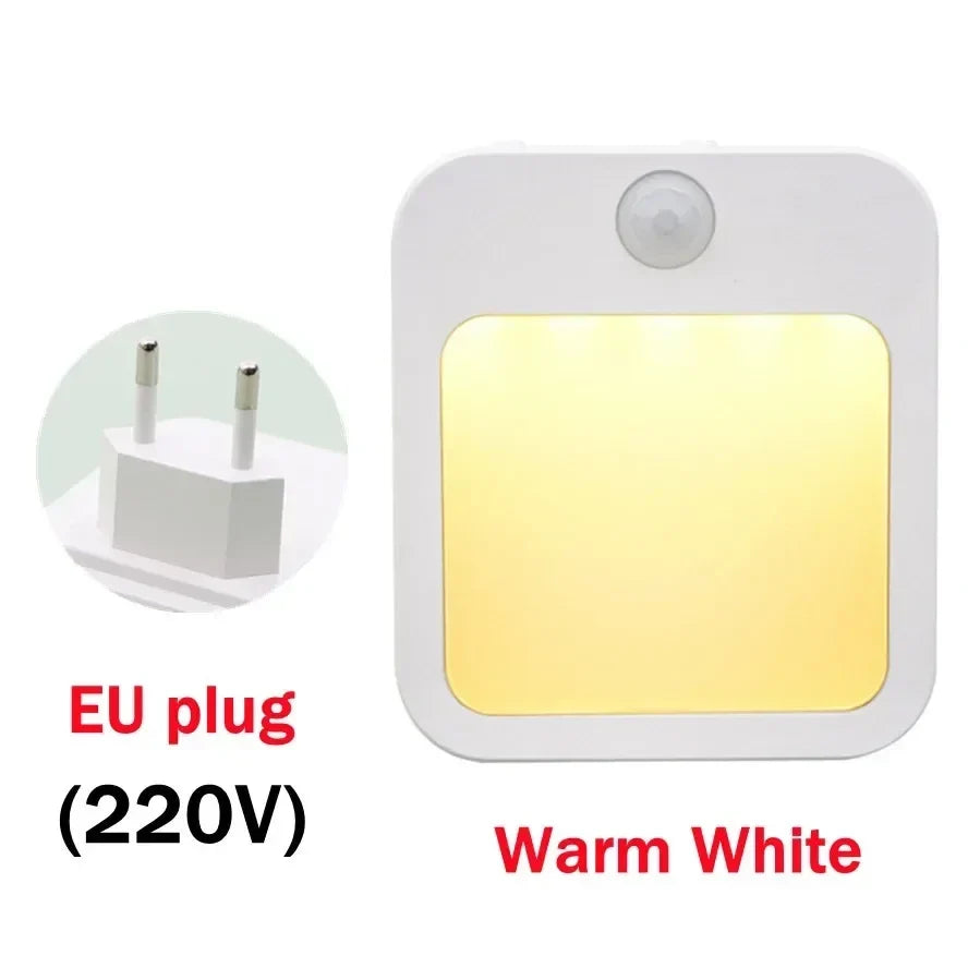 Dimmable Motion Sensor Night Light