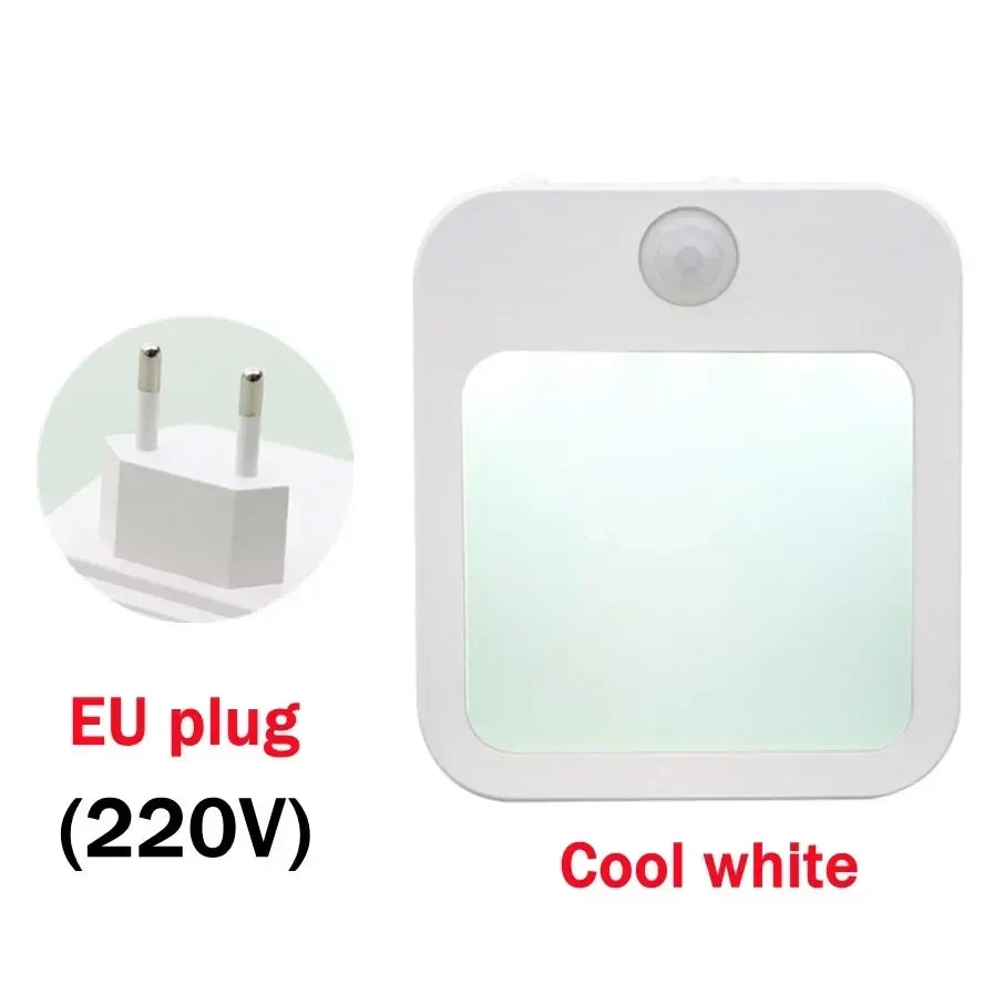 Dimmable Motion Sensor Night Light