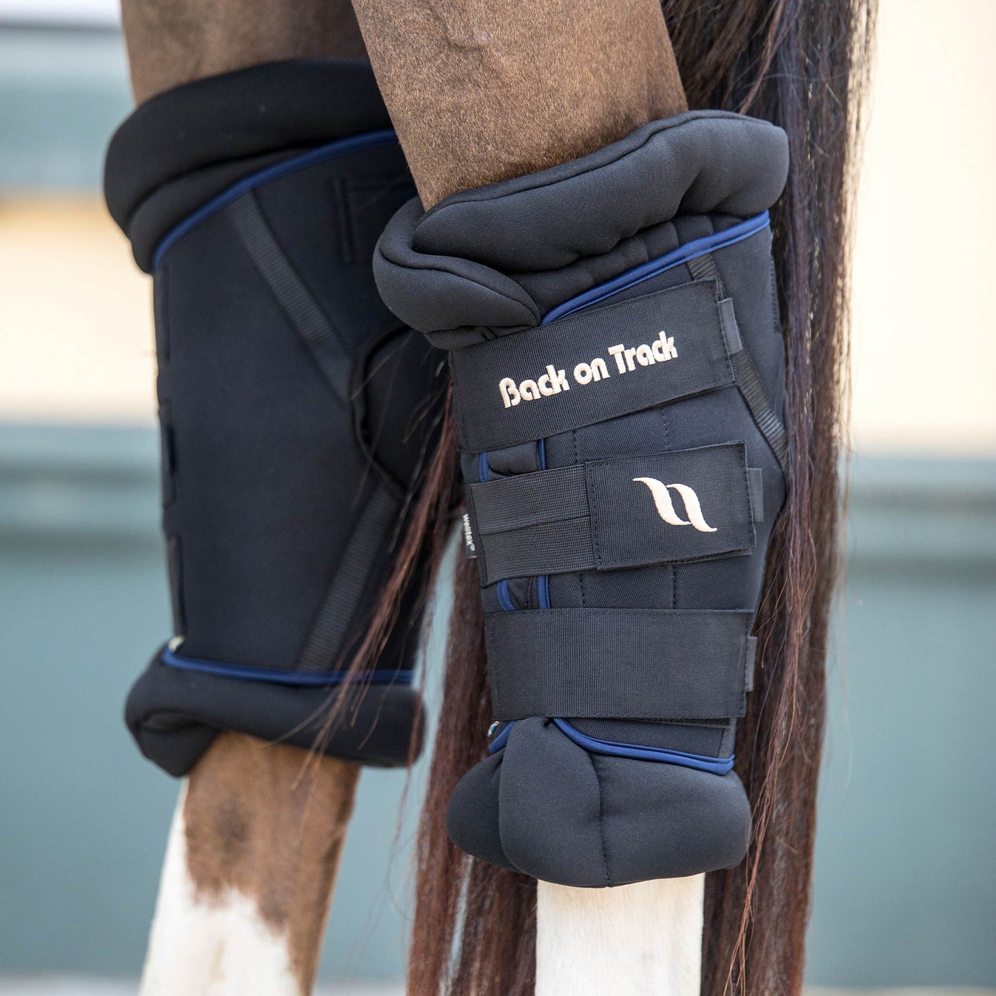 Royal Padded Hock Boots Deluxe
