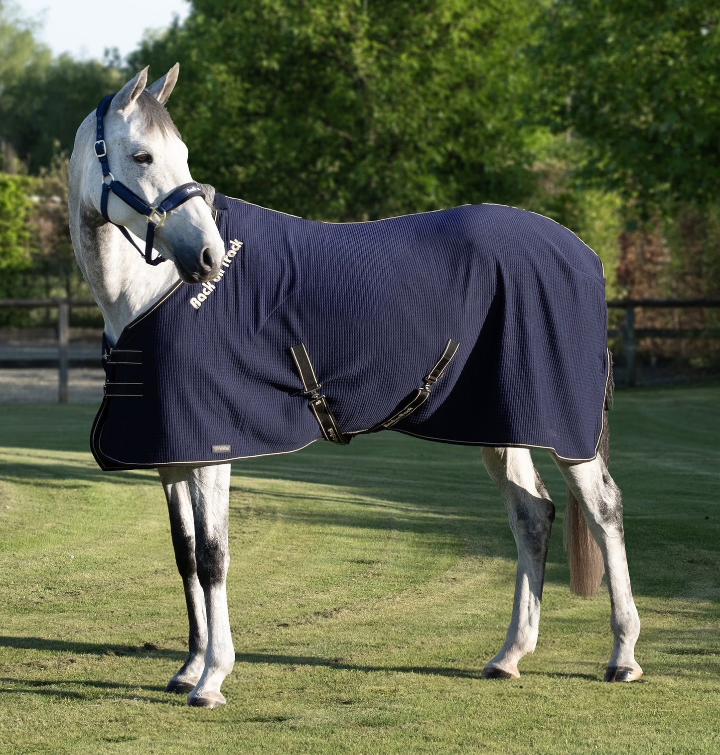 Quick Cooler Sweat Blanket