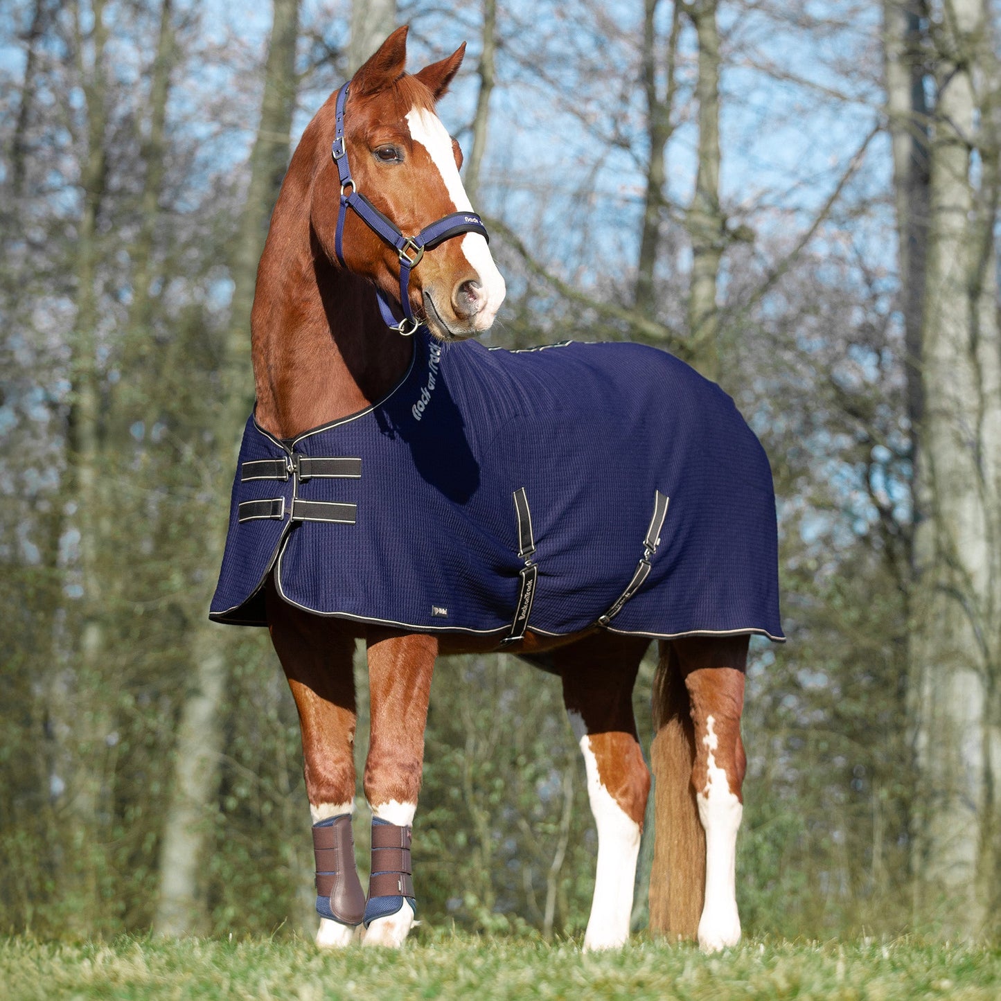 Quick Cooler Sweat Blanket