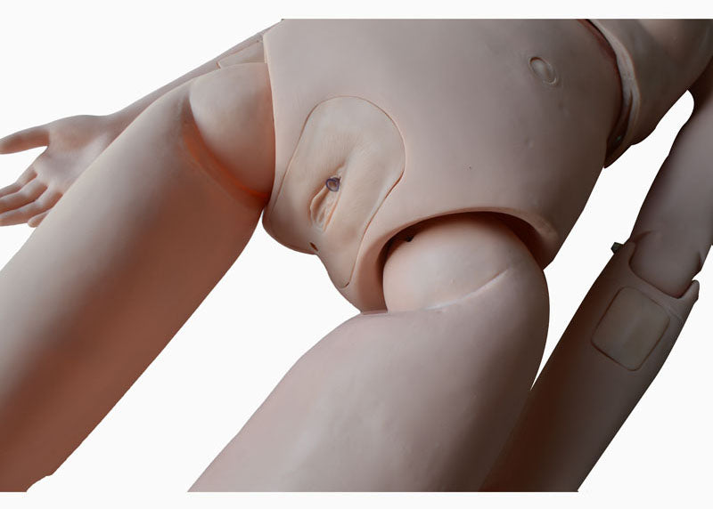 Patient Care Teaching Human Manikin