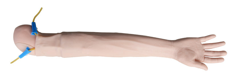 Adult Venipuncture Injection Training Arm Model