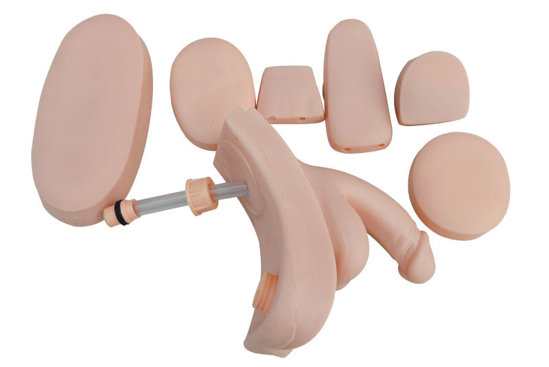 Advanced Patient Care Teaching Human Manikin Man And Woman