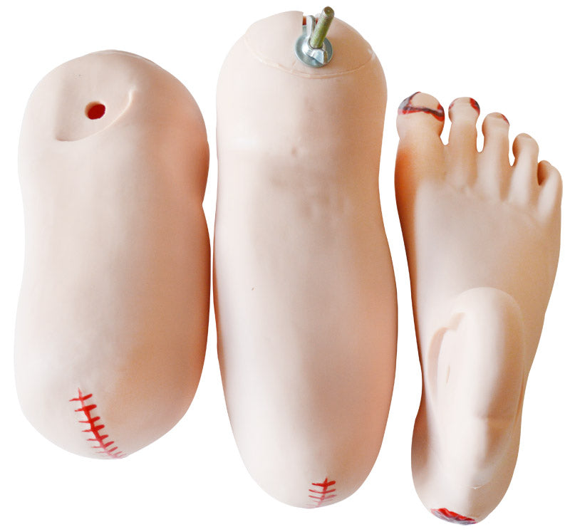 Advanced Patient Care Teaching Human Manikin Man And Woman