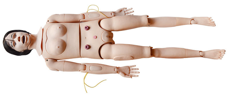 Advanced Patient Care Teaching Human Manikin Man And Woman