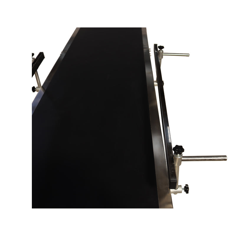 110V 2.1m PVC Belt Conveyor with Double Guardrails