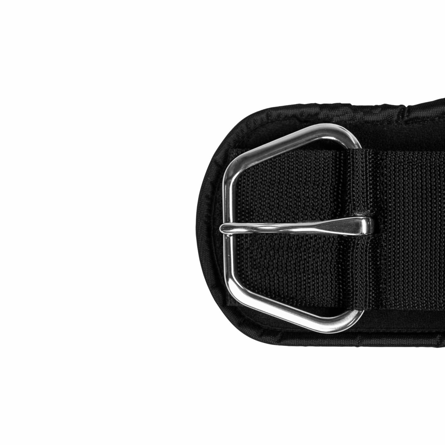 Gentle Touch Western Roper Cinch