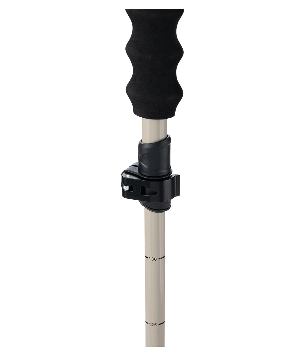 Pahto Ski Pole
