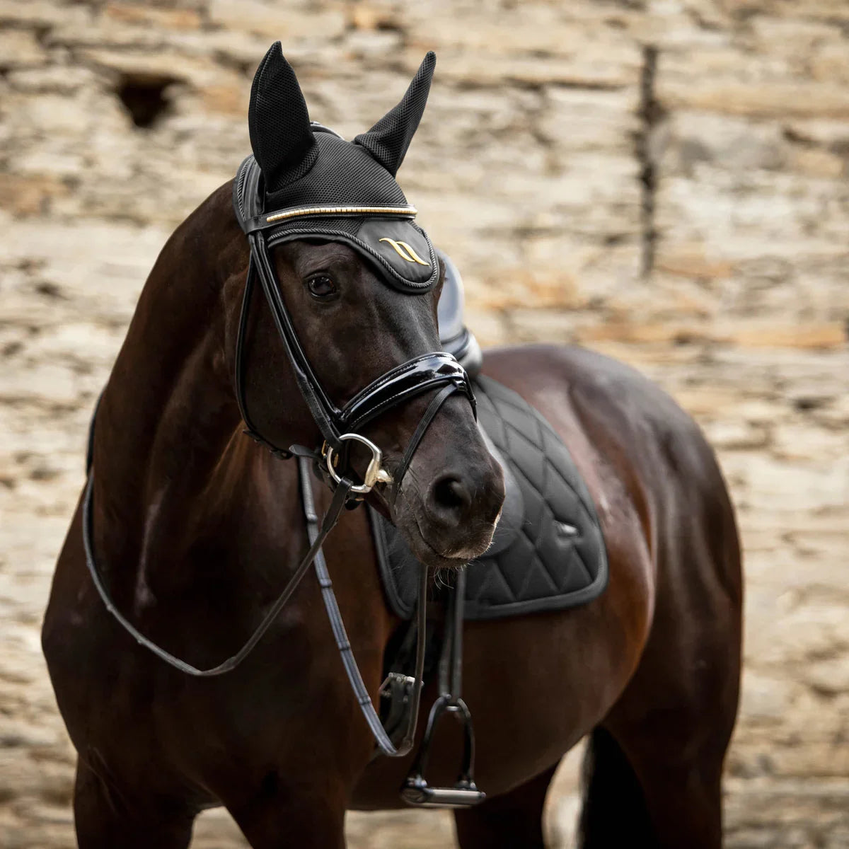 Airflow Horse Bonnet