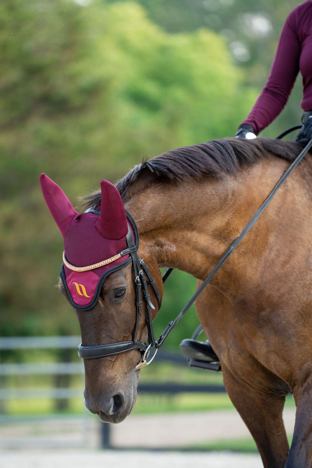 Airflow Horse Bonnet