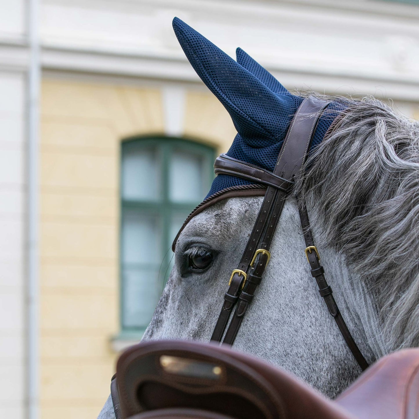 Airflow Horse Bonnet