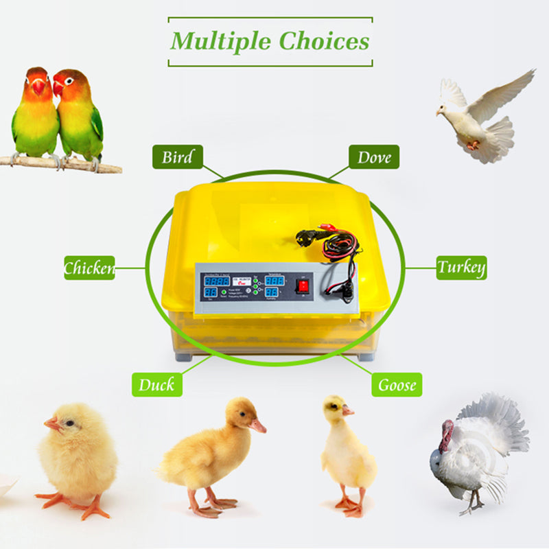 110V 96 Eggs Incubator