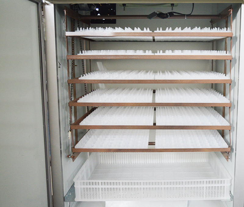 220V 1584 Eggs Incubator