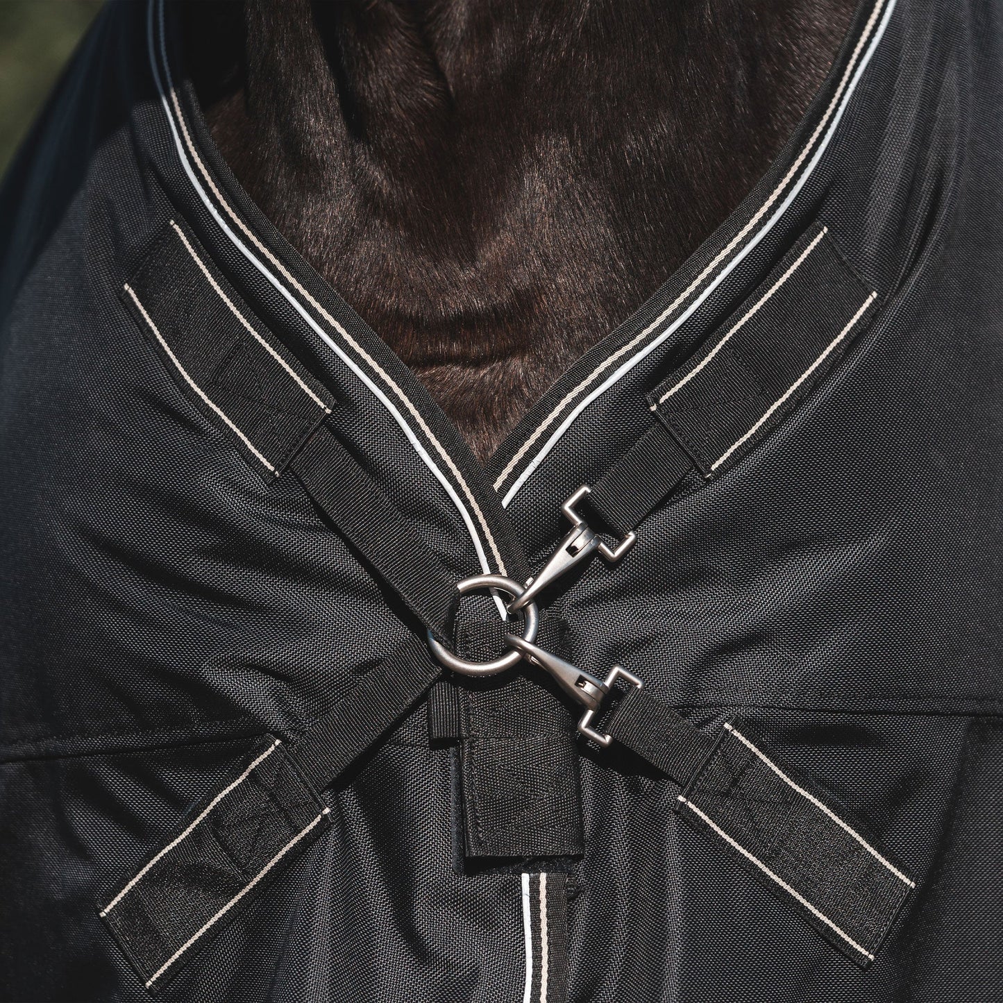 Obsidian Turnout Blanket with Neck Cover