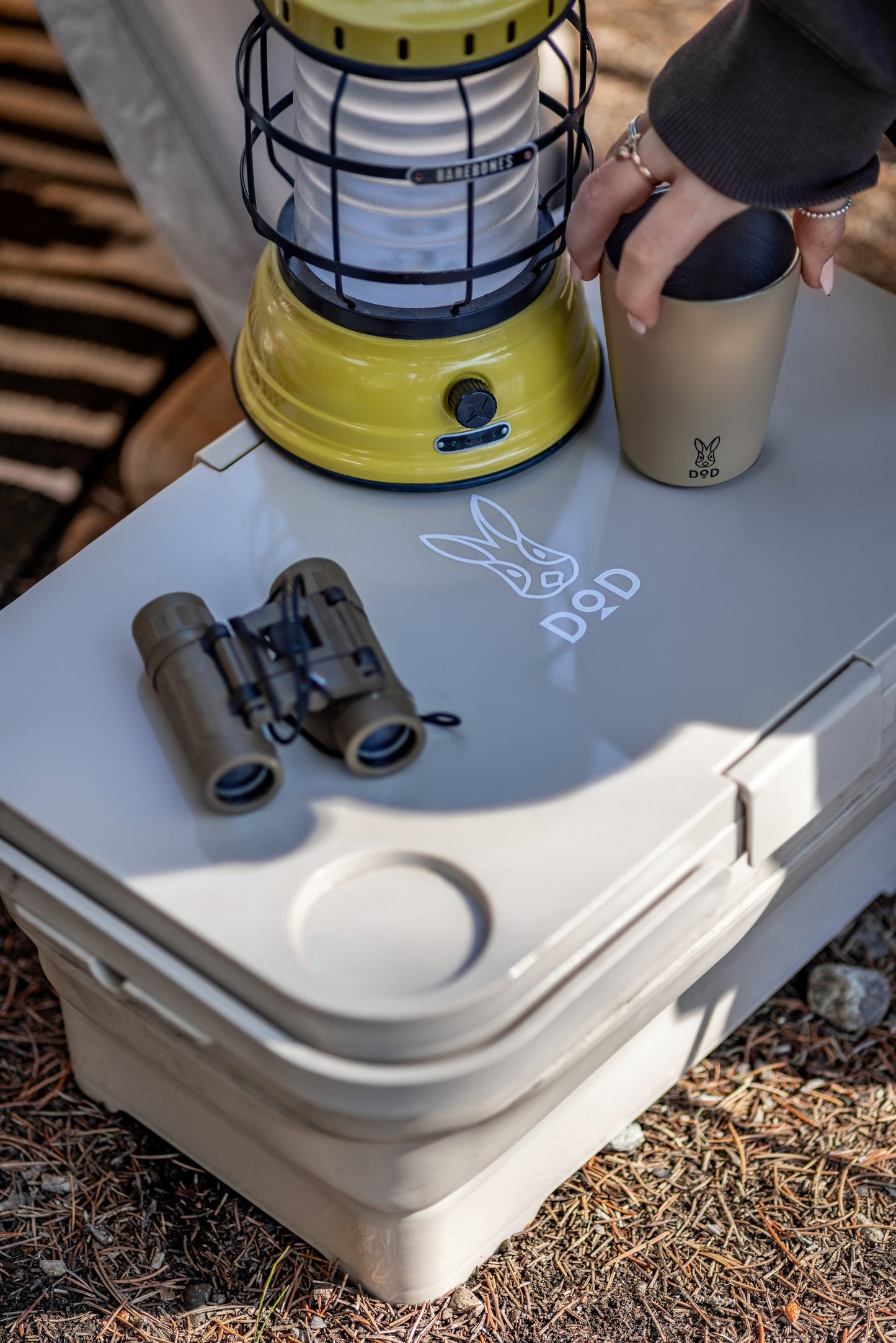 Pesha Collapsible Container