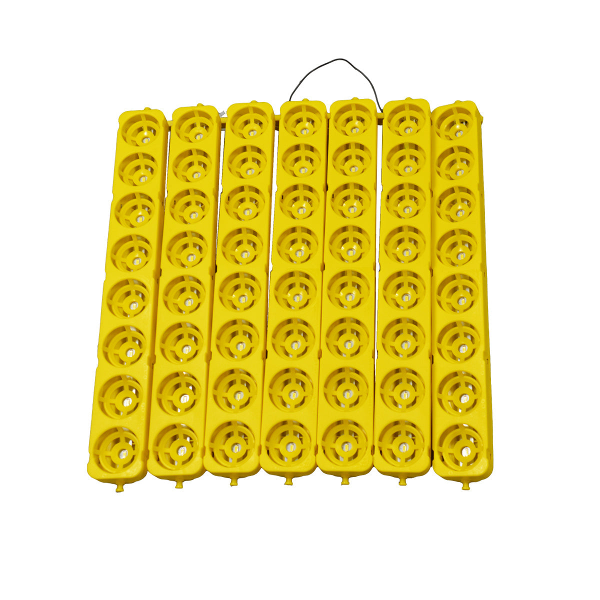 110V 56 Eggs Incubator