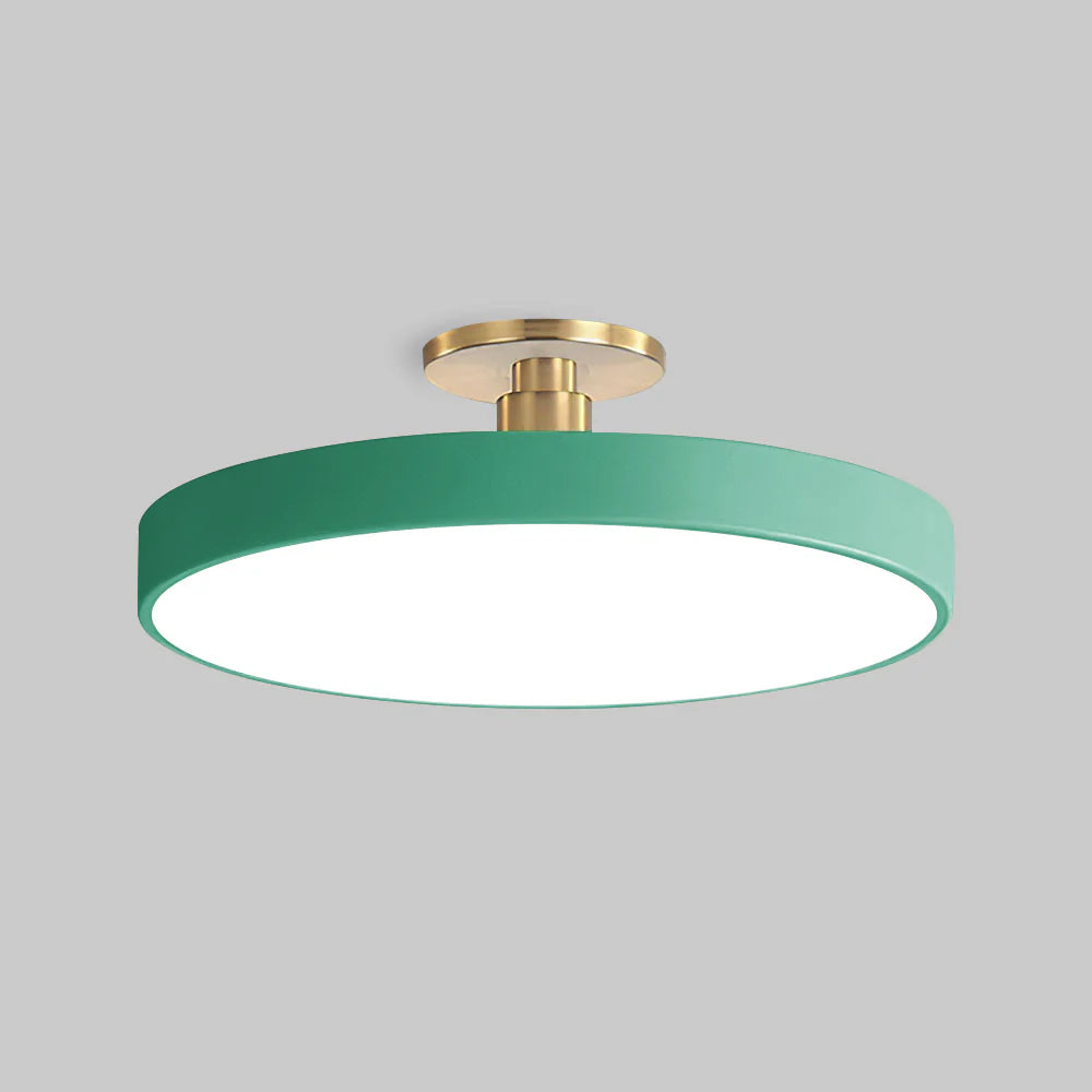 Modern Circular LED Flush Mount Ceiling Light With Iron Frame