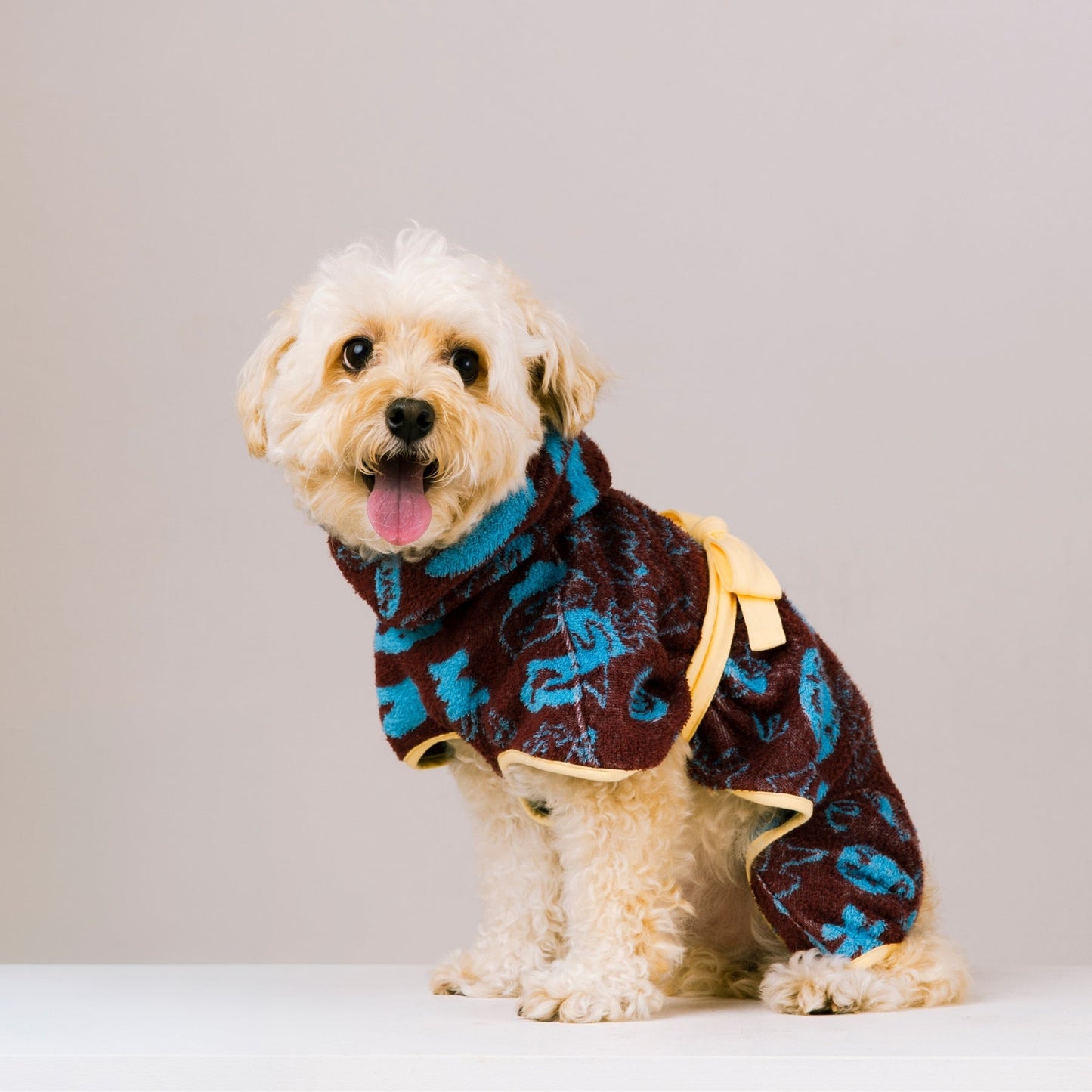 【Limited】DOGGY ROBE　SUNSET × MINT SODA