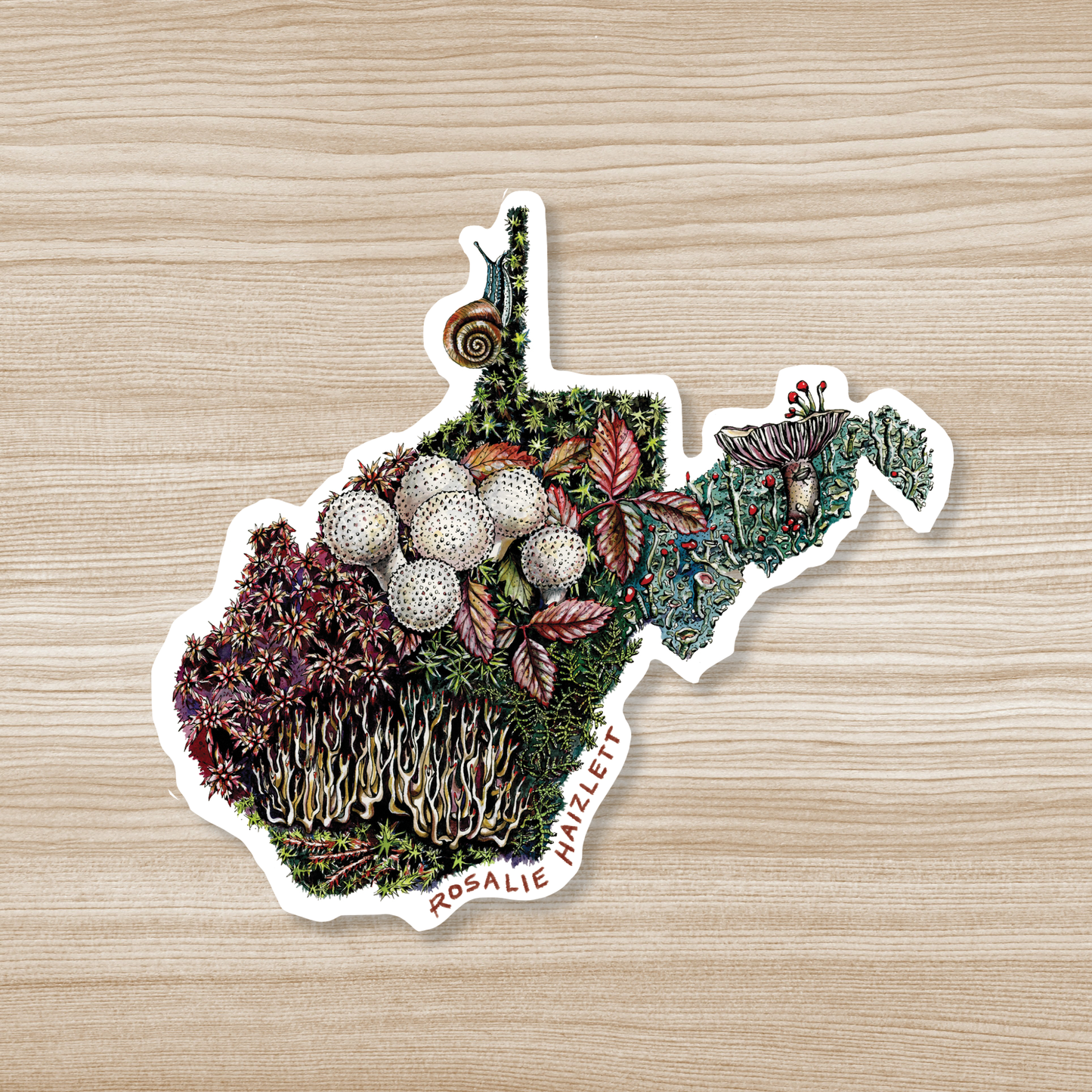 West Virginia Forest Floor - Waterproof Vinyl Sticker