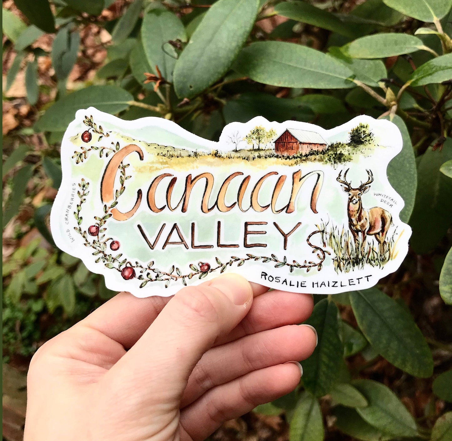 Rosalie Haizlett Illustration - Canaan Valley Waterproof Sticker