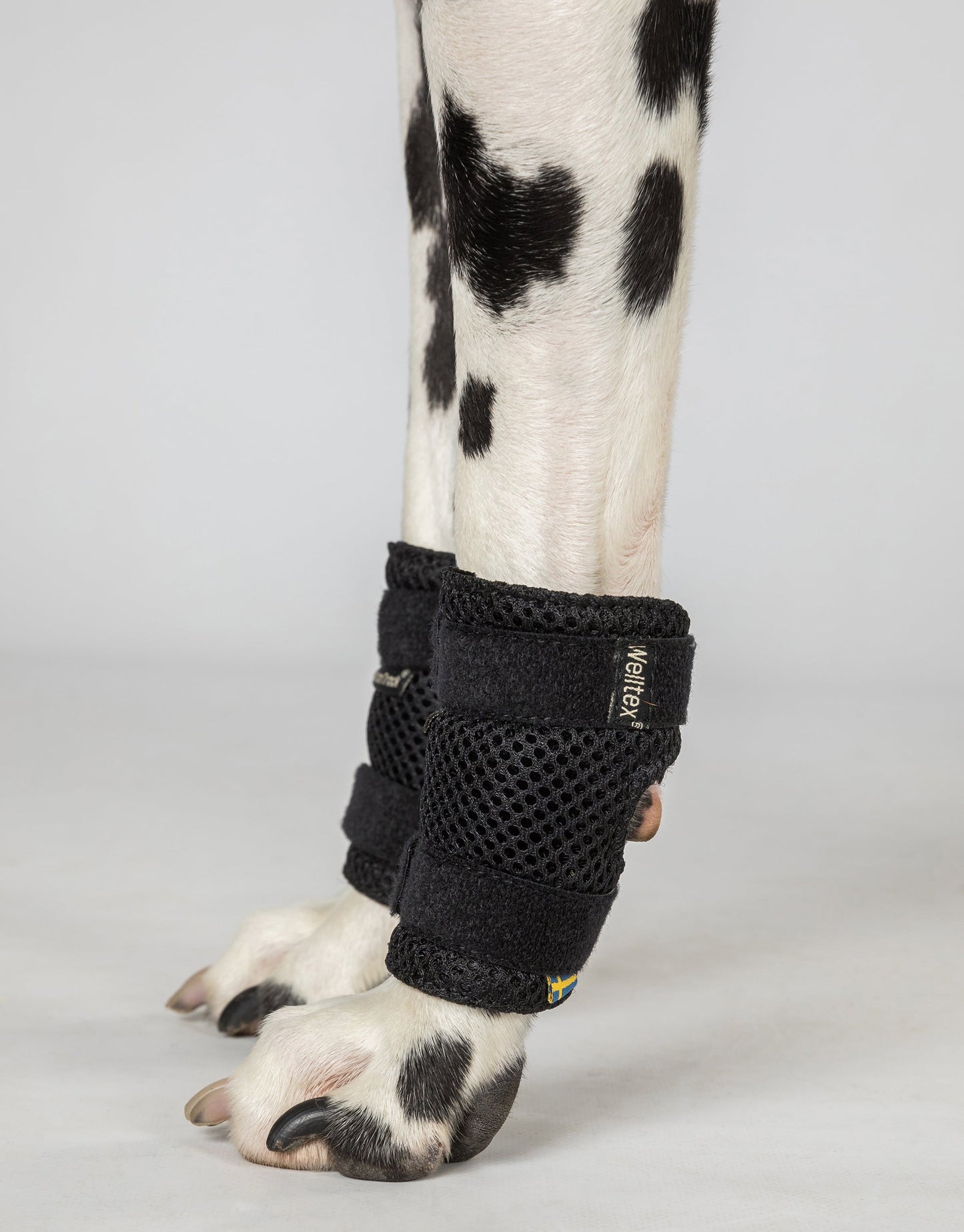 Milo Dog Wrist Brace