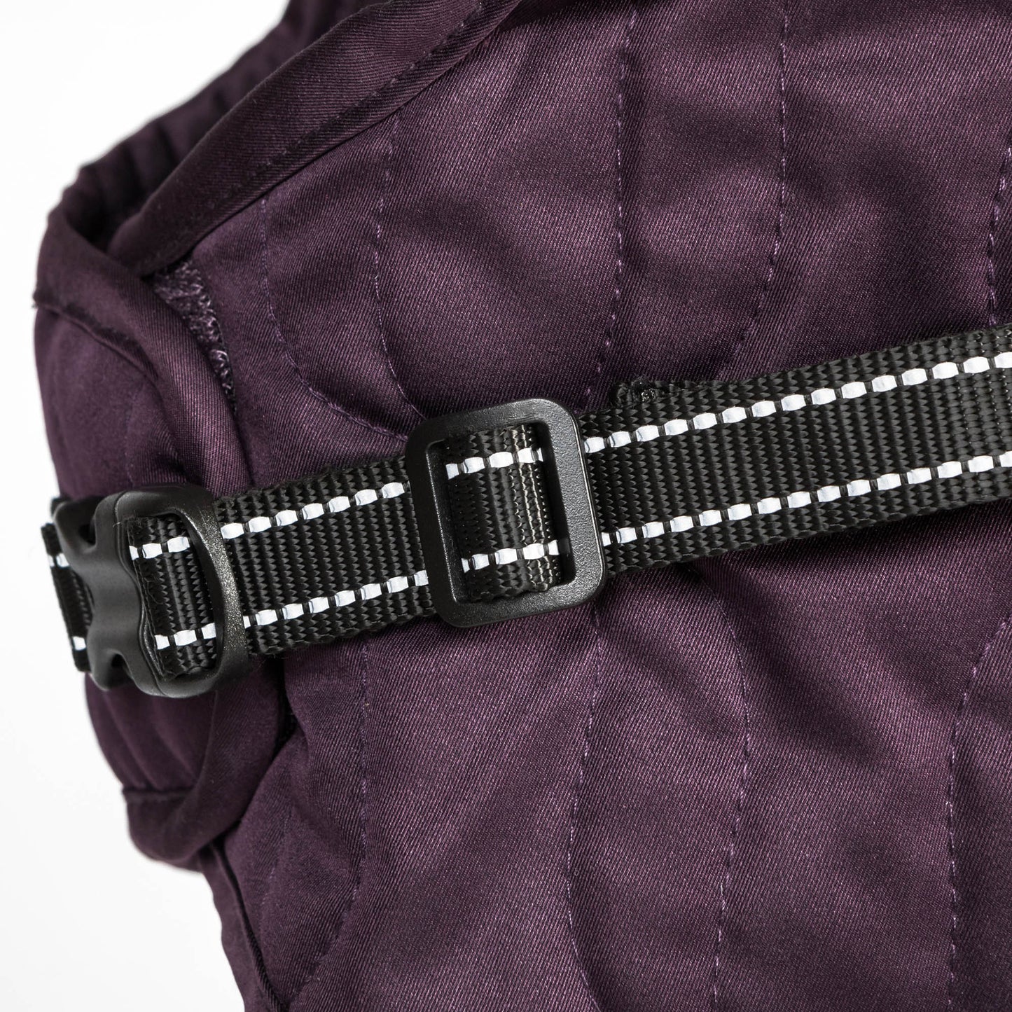 Deep Nights Dog Coat