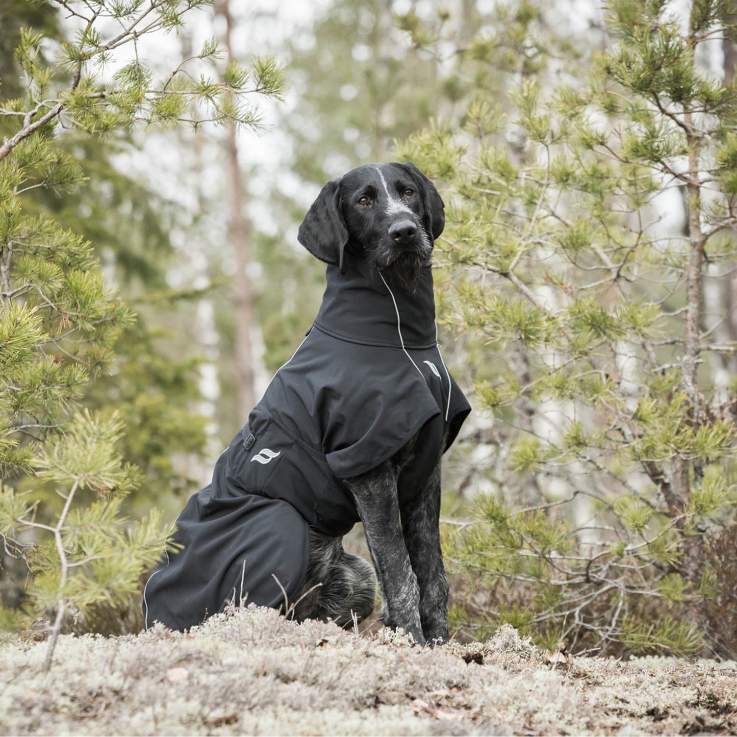 Nella Dog Coat