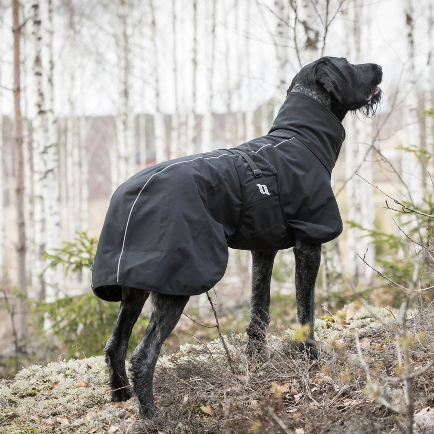 Nella Dog Coat