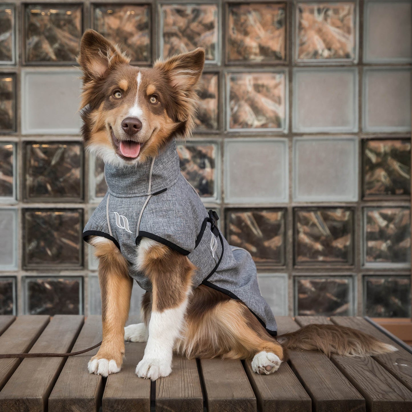 Nella Dog Coat