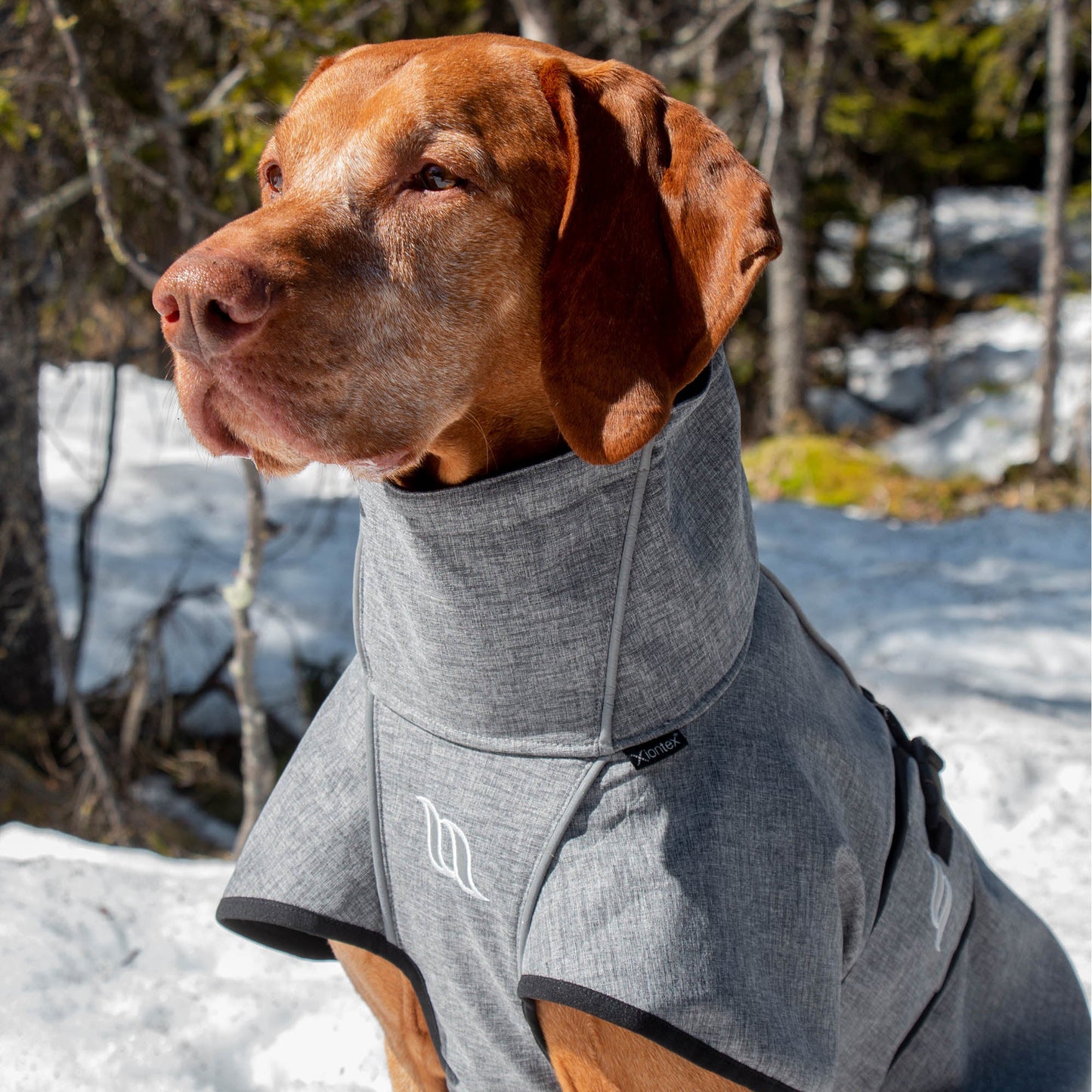 Nella Dog Coat