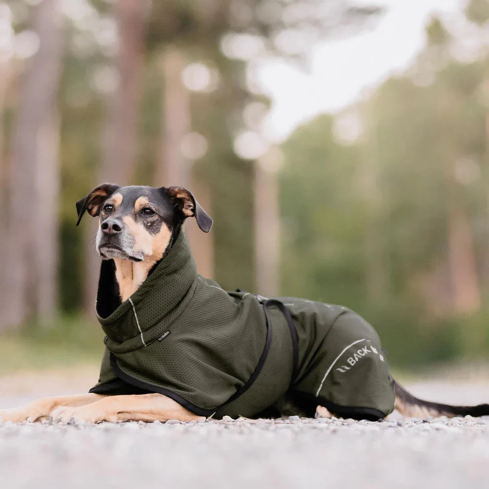 Bay Mesh Dog Coat