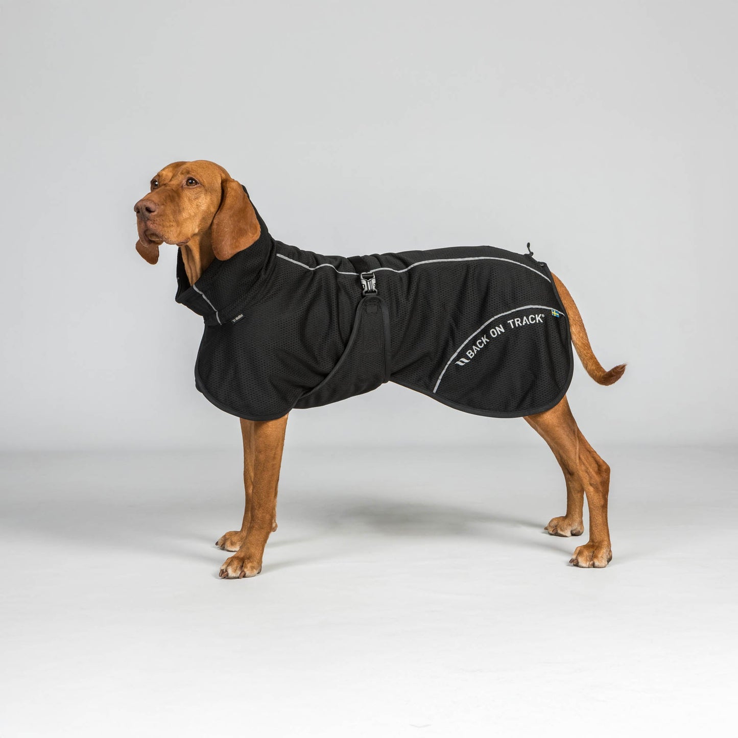 Bay Mesh Dog Coat