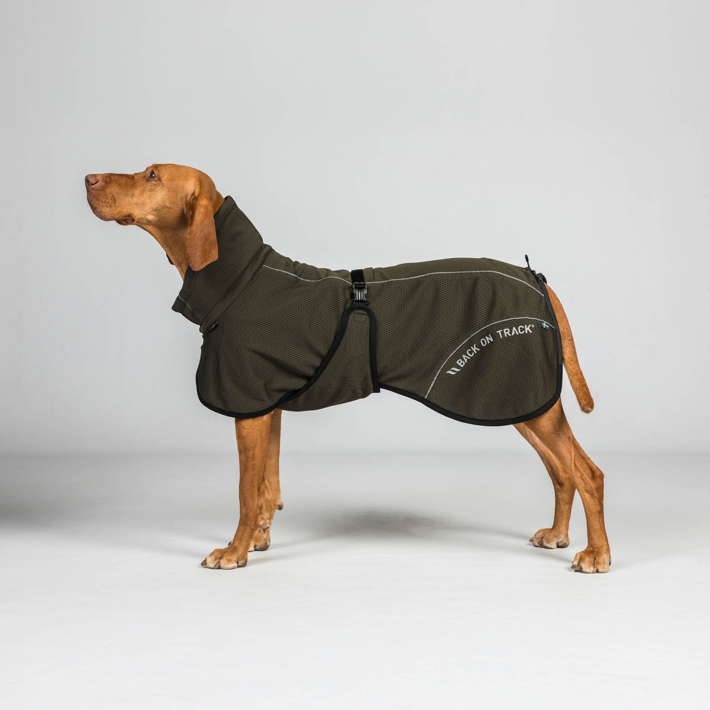 Bay Mesh Dog Coat