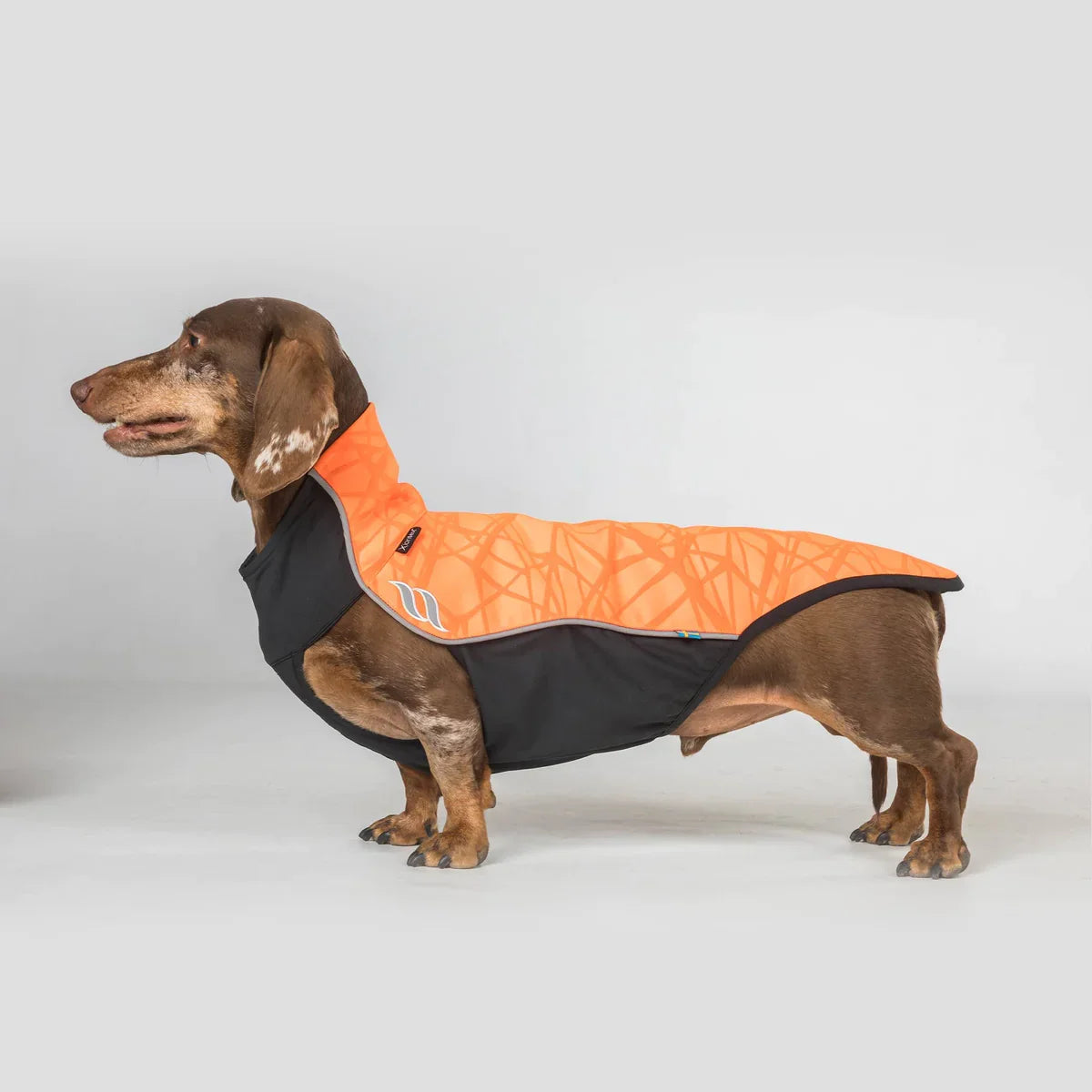 Eddie Petite High Visibility Reflective Orange Jumper for Dogs