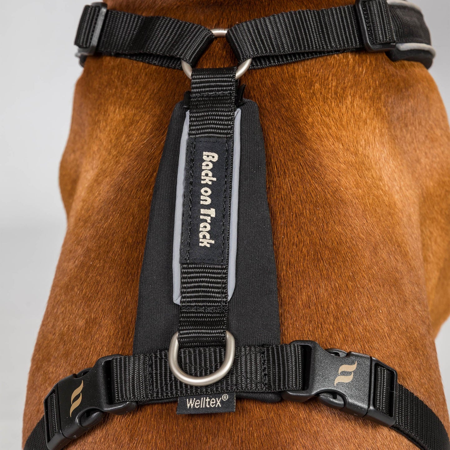 Sally Dog Harness