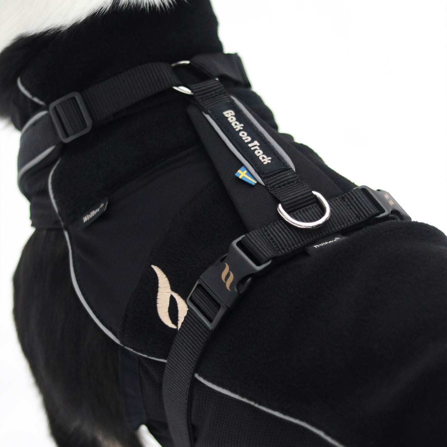Sally Dog Harness