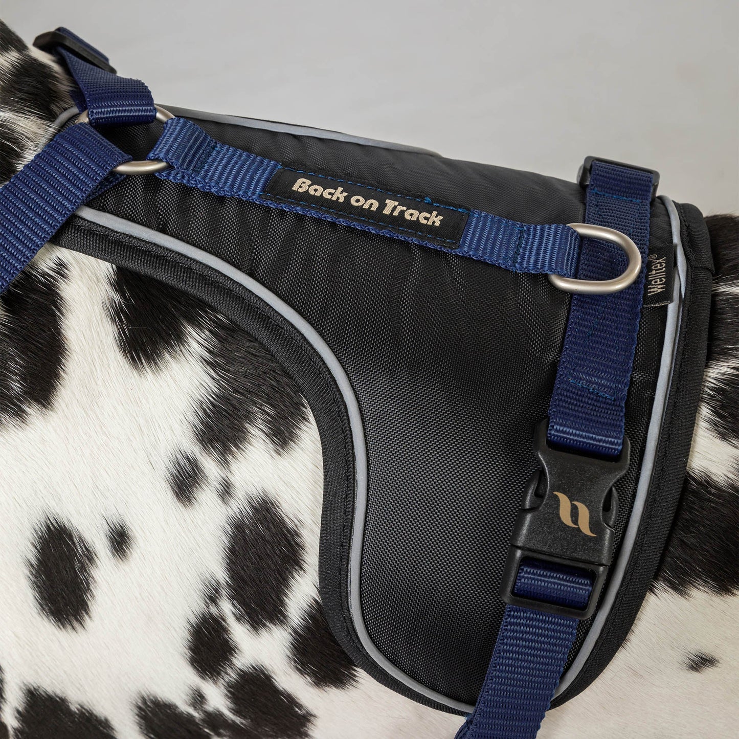 Max Dog Harness