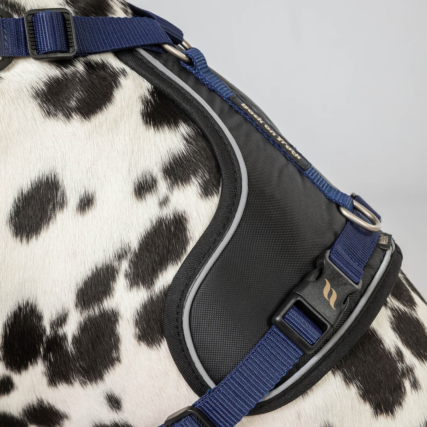 Max Dog Harness